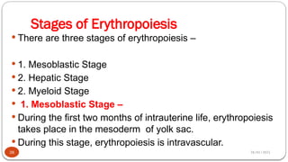 28/01/2025
Stages of Erythropoiesis
 There are three stages of erythropoiesis –
 1. Mesoblastic Stage
 2. Hepatic Stage
 2. Myeloid Stage
 1. Mesoblastic Stage –
 During the first two months of intrauterine life, erythropoiesis
takes place in the mesoderm of yolk sac.
 During this stage, erythropoiesis is intravascular.
38
 