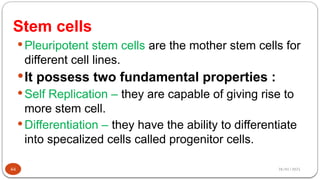 28/01/2025
Stem cells
 Pleuripotent stem cells are the mother stem cells for
different cell lines.
It possess two fundamental properties :
 Self Replication – they are capable of giving rise to
more stem cell.
 Differentiation – they have the ability to differentiate
into specalized cells called progenitor cells.
44
 