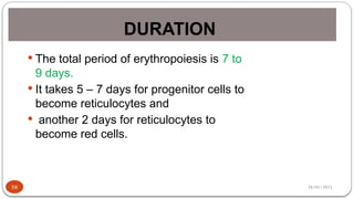 28/01/2025
DURATION
58
 The total period of erythropoiesis is 7 to
9 days.
 It takes 5 – 7 days for progenitor cells to
become reticulocytes and
 another 2 days for reticulocytes to
become red cells.
 