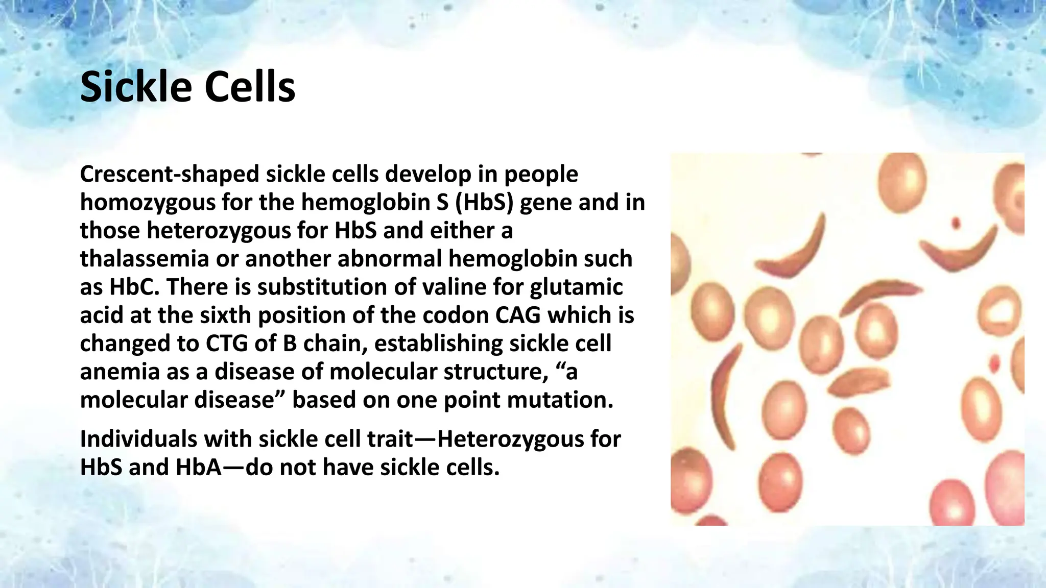 Sickle Cells
Crescent-shaped sickle cells develop in people
homozygous for the hemoglobin S (HbS) gene and in
those heterozygous for HbS and either a
thalassemia or another abnormal hemoglobin such
as HbC. There is substitution of valine for glutamic
acid at the sixth position of the codon CAG which is
changed to CTG of B chain, establishing sickle cell
anemia as a disease of molecular structure, “a
molecular disease” based on one point mutation.
Individuals with sickle cell trait—Heterozygous for
HbS and HbA—do not have sickle cells.
 