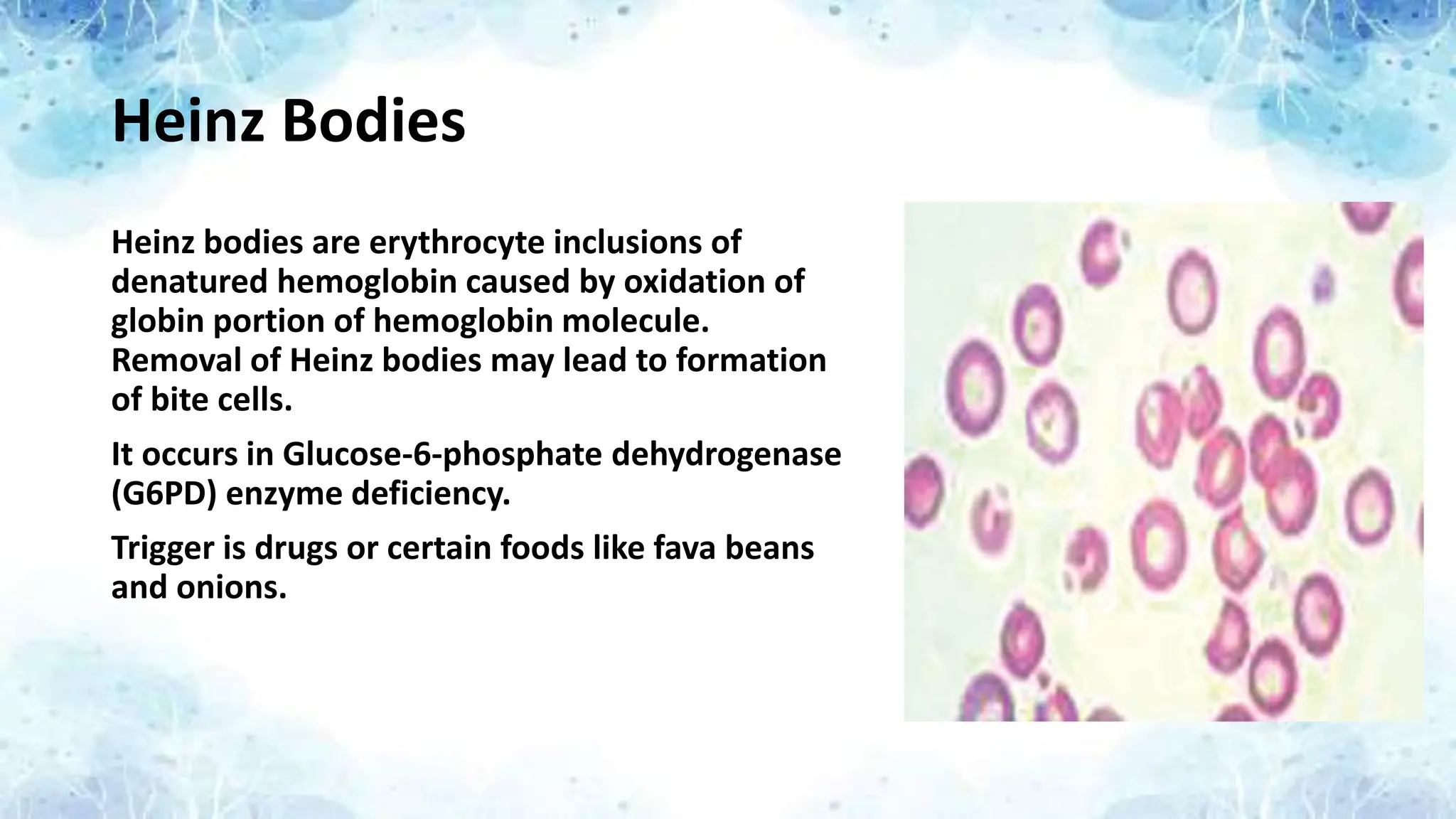 Heinz Bodies
Heinz bodies are erythrocyte inclusions of
denatured hemoglobin caused by oxidation of
globin portion of hemoglobin molecule.
Removal of Heinz bodies may lead to formation
of bite cells.
It occurs in Glucose-6-phosphate dehydrogenase
(G6PD) enzyme deficiency.
Trigger is drugs or certain foods like fava beans
and onions.
 
