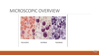 Peripheral blood smear [autosaved] | PPTX