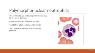 Peripheral blood smear [autosaved] | PPTX
