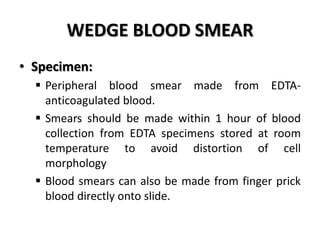WEDGE BLOOD SMEAR
• Specimen:
 Peripheral blood smear made from EDTA-
anticoagulated blood.
 Smears should be made within 1 hour of blood
collection from EDTA specimens stored at room
temperature to avoid distortion of cell
morphology
 Blood smears can also be made from finger prick
blood directly onto slide.
 