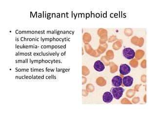 Malignant lymphoid cells
• Commonest malignancy
is Chronic lymphocytic
leukemia- composed
almost exclusively of
small lymphocytes.
• Some times few larger
nucleolated cells
 