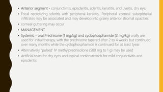 • Anterior segment - conjunctivitis, episcleritis, scleritis, keratitis, and uveitis, dry eye,
• Focal necrotizing scleritis with peripheral keratitis, Peripheral corneal subepithelial
infiltrates may be associated and may develop into grainy anterior stromal opacities
• corneal guttering may occur
• MANAGEMENT
• Systemic - oral Prednisone (1 mg/kg) and cyclophosphamide (2 mg/kg) orally are
used for initial therapy, with the prednisone tapered after 2 to 4 weeks but continued
over many months while the cyclophosphamide is continued for at least 1year
• Alternatively, ‘pulsed’ IV methylprednisolone (500 mg to 1 g) may be used
• Artificial tears for dry eyes and topical corticosteroids for mild conjunctivitis and
episcleritis
 