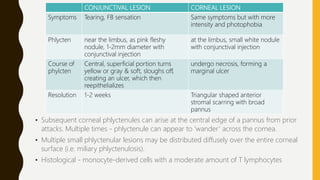 • Subsequent corneal phlyctenules can arise at the central edge of a pannus from prior
attacks. Multiple times - phlyctenule can appear to ‘wander’ across the cornea.
• Multiple small phlyctenular lesions may be distributed diffusely over the entire corneal
surface (i.e. miliary phlyctenulosis).
• Histological - monocyte-derived cells with a moderate amount of T lymphocytes
CONJUNCTIVAL LESION CORNEAL LESION
Symptoms Tearing, FB sensation Same symptoms but with more
intensity and photophobia
Phlycten near the limbus, as pink fleshy
nodule, 1-2mm diameter with
conjunctival injection
at the limbus, small white nodule
with conjunctival injection
Course of
phylcten
Central, superficial portion turns
yellow or gray & soft, sloughs off,
creating an ulcer, which then
reepithelializes
undergo necrosis, forming a
marginal ulcer
Resolution 1-2 weeks Triangular shaped anterior
stromal scarring with broad
pannus
 