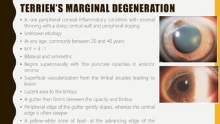 TERRIEN’S MARGINAL DEGENERATION
• A rare peripheral corneal inflammatory condition with stromal
thinning with a steep central wall and peripheral sloping
• Unknown etiology
• At any age, commonly between 20 and 40 years
• M:F = 3 : 1
• Bilateral and symmetric
• Begins superonasally with fine punctate opacities in anterior
stroma
• Superficial vascularization from the limbal arcades leading to
lesion
• Lucent area to the limbus
• A gutter then forms between the opacity and limbus
• Peripheral edge of the gutter gently slopes, whereas the central
edge is often steeper
• A yellow-white zone of lipid- at the advancing edge of the
 