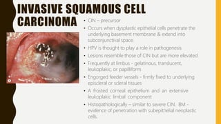 INVASIVE SQUAMOUS CELL
CARCINOMA • CIN – precursor
• Occurs when dysplastic epithelial cells penetrate the
underlying basement membrane & extend into
subconjunctival space.
• HPV is thought to play a role in pathogenesis
• Lesions resemble those of CIN but are more elevated
• Frequently at limbus - gelatinous, translucent,
leukoplakic, or papilliform
• Engorged feeder vessels - firmly fixed to underlying
episcleral or scleral tissues
• A frosted corneal epithelium and an extensive
leukoplakic limbal component
• Histopathologically – similar to severe CIN. BM -
evidence of penetration with subepithelial neoplastic
cells.
 