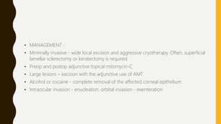 • MANAGEMENT :
• Minimally invasive - wide local excision and aggressive cryotherapy. Often, superficial
lamellar sclerectomy or keratectomy is required
• Preop and postop adjunctive topical mitomycin-C
• Large lesions – excision with the adjunctive use of AMT
• Alcohol or cocaine - complete removal of the affected corneal epithelium
• Intraocular invasion - enucleation, orbital invasion - exenteration
 