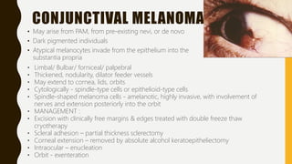 CONJUNCTIVAL MELANOMA
• May arise from PAM, from pre-existing nevi, or de novo
• Dark pigmented individuals
• Atypical melanocytes invade from the epithelium into the
substantia propria
• Limbal/ Bulbar/ forniceal/ palpebral
• Thickened, nodularity, dilator feeder vessels
• May extend to cornea, lids, orbits
• Cytologically - spindle-type cells or epithelioid-type cells
• Spindle-shaped melanoma cells - amelanotic, highly invasive, with involvement of
nerves and extension posteriorly into the orbit
• MANAGEMENT :
• Excision with clinically free margins & edges treated with double freeze thaw
cryotherapy
• Scleral adhesion – partial thickness sclerectomy
• Corneal extension – removed by absolute alcohol keratoepitheliectomy
• Intraocular – enucleation
• Orbit - exenteration
 