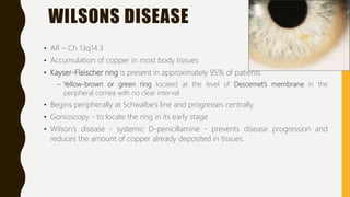 WILSONS DISEASE
• AR – Ch 13q14.3
• Accumulation of copper in most body tissues
• Kayser-Fleischer ring is present in approximately 95% of patients
– Yellow-brown or green ring located at the level of Descemet’s membrane in the
peripheral cornea with no clear interval
• Begins peripherally at Schwalbe’s line and progresses centrally.
• Gonioscopy - to locate the ring in its early stage
• Wilson’s disease - systemic D-penicillamine - prevents disease progression and
reduces the amount of copper already deposited in tissues.
 