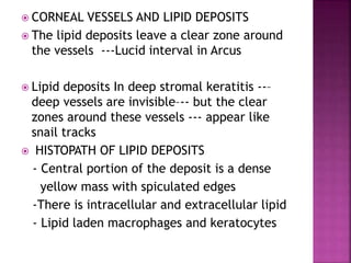  CORNEAL VESSELS AND LIPID DEPOSITS
 The lipid deposits leave a clear zone around
the vessels ---Lucid interval in Arcus
 Lipid deposits In deep stromal keratitis --–
deep vessels are invisible–-- but the clear
zones around these vessels --- appear like
snail tracks
 HISTOPATH OF LIPID DEPOSITS
- Central portion of the deposit is a dense
yellow mass with spiculated edges
-There is intracellular and extracellular lipid
- Lipid laden macrophages and keratocytes
 