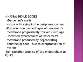  HASSAL HENLE BODIES
-Descemet’s warts
-occur with aging in the peripheral cornea
-Posterior non banded layer of descemet’s
membrane progressively thickens with age
- localised excrescences of Descemet’s
membrane produced by degenerating
endothelial cells – due to overproduction of
hyaline
-Non specific response of the endothelium to
injury
 