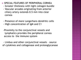  SPECIAL FEATURES OF PERIPHERAL CORNEA
- Greater thickness with tight collagen bundle
- Vascular arcades originating from anterior
ciliary artery extends 0.5 mm into clear
cornea
- Presence of more Langerhans dendritic cells
- High concentration of IgM and C1
-Proximity to the conjunctival vessels and
lymphatics provides the peripheral cornea
access to the immune system
- Limbus and other conjunctival vessels – source
of cytokines and collagenase and proteoglycanase
 