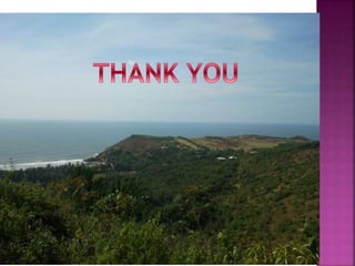 Peripheral corneal ulcers and corneal degenerations