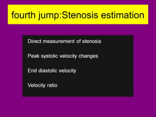 fourth jump:Stenosis estimation
 