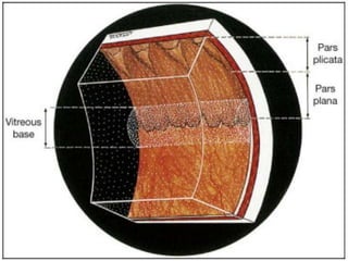 Peripheral fundus & its disorders | PPTX