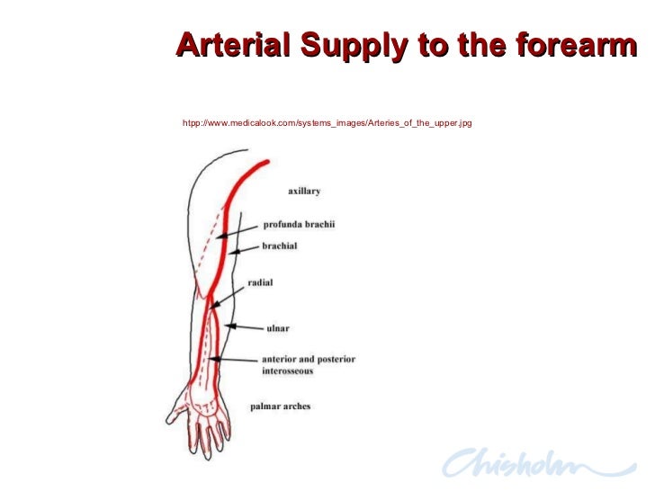 Peripheral Iv Cannulation