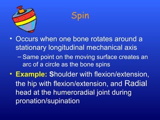 Spin
• Occurs when one bone rotates around a
stationary longitudinal mechanical axis
– Same point on the moving surface creates an
arc of a circle as the bone spins
• Example: Shoulder with flexion/extension,
the hip with flexion/extension, and Radial
head at the humeroradial joint during
pronation/supination
 