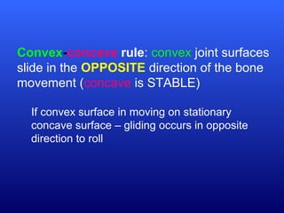 Convex-concave rule: convex joint surfaces
slide in the OPPOSITE direction of the bone
movement (concave is STABLE)
If convex surface in moving on stationary
concave surface – gliding occurs in opposite
direction to roll
 