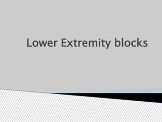 Lower Extremity blocks
 