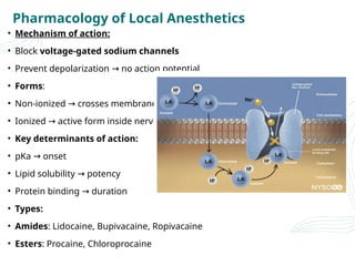 PERIPHERAL NERVE BLOCK IN UPPER LIMB SURGERIES.pptx