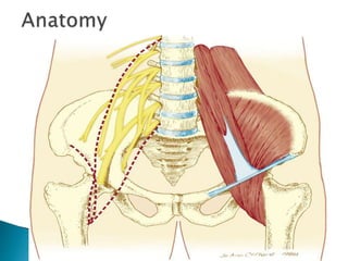 Peripheral nerve blocks