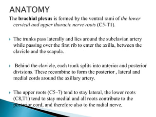 The brachial plexus is formed by the ventral rami of the lower
cervical and upper thoracic nerve roots (C5-T1).
 The trunks pass laterally and lies around the subclavian artery
while passing over the first rib to enter the axilla, between the
clavicle and the scapula.
 Behind the clavicle, each trunk splits into anterior and posterior
divisions. These recombine to form the posterior , lateral and
medial cords around the axillary artery.
 The upper roots (C5–7) tend to stay lateral, the lower roots
(C8,T1) tend to stay medial and all roots contribute to the
posterior cord, and therefore also to the radial nerve.
 