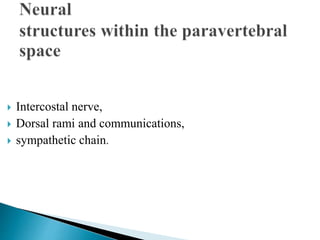  Intercostal nerve,
 Dorsal rami and communications,
 sympathetic chain.
 
