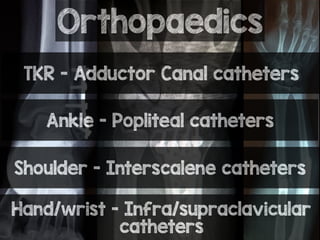 Orthopaedics
TKR - Adductor Canal catheters
Ankle - Popliteal catheters
Shoulder - Interscalene catheters
Hand/wrist - Infra/supraclavicular
catheters
 