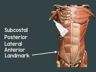 Landmark
Anterior
Lateral
Posterior
Subcostal
 
