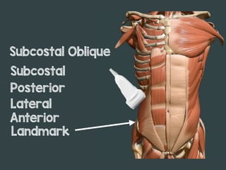 Landmark
Anterior
Lateral
Posterior
Subcostal
Subcostal Oblique
 