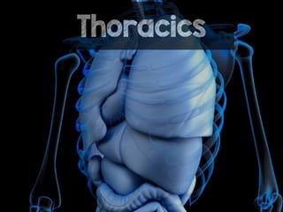 Thoracics
 