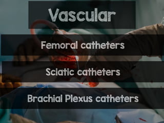 Vascular
Femoral catheters
Sciatic catheters
Brachial Plexus catheters
 