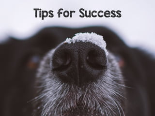 Tips for Success
 
