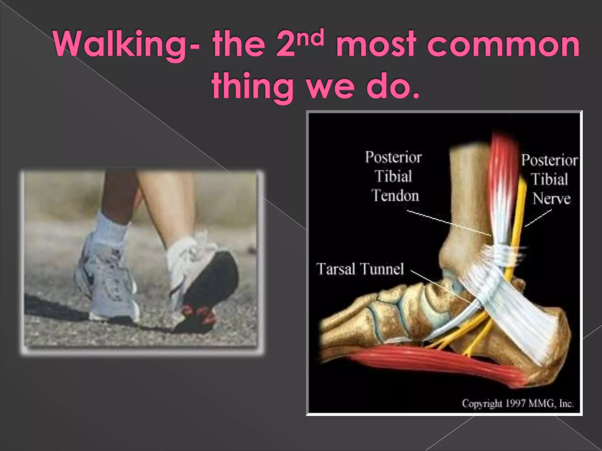 Walking- the 2nd most common thing we do.