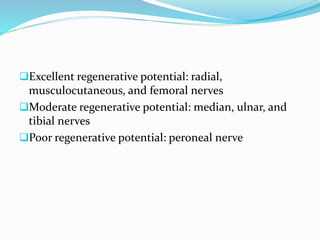 Excellent regenerative potential: radial,
musculocutaneous, and femoral nerves
Moderate regenerative potential: median, ulnar, and
tibial nerves
Poor regenerative potential: peroneal nerve
 