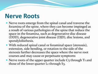 Nerve Roots
 Nerve roots emerge from the spinal canal and traverse the
foramina of the spine, where they can become impinged as
a result of various pathologies of the spine that reduce the
space in the foramina, such as degenerative disc disease
(DDD), degenerative joint disease (DJD), disc lesions, and
spondylolisthesis.
 With reduced spinal canal or foraminal space (stenosis),
extension, side bending, or rotation to the side of the
stenosis further decreases the space where the nerve root
courses and may cause or perpetuate symptoms
 Nerve roots of the upper quarter include C5 through T1 and
those of the lower quarter L1 through S3.
 