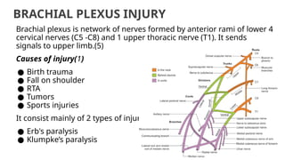 BRACHIAL PLEXUS INJURY
Brachial plexus is network of nerves formed by anterior rami of lower 4
cervical nerves (C5 -C8) and 1 upper thoracic nerve (T1). It sends
signals to upper limb.(5)
Causes of injury(1)
● Birth trauma
● Fall on shoulder
● RTA
● Tumors
● Sports injuries
It consist mainly of 2 types of injury
● Erb's paralysis
● Klumpke’s paralysis
 