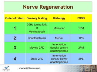 www.wrightington.com
Nerve Regeneration
Order of return Sensory testing Histology PSSD
1
30Hz tuning fork
or
Moving touch
Meissner 1PM
2 Constant touch Merkel 1PS
3 Moving 2PD
Innervation
density quickly
adapting fibres
2PM
4 Static 2PD
Innervation
density slowly
adapting fibres
2PS
 