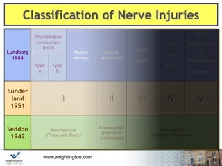www.wrightington.com
Classification of Nerve Injuries
Lundborg
1988
Physiological
conduction
block
Myelin
damage
Axonal
disruption
Axon
+
Endo
Axon
+
Endo
+
Peri
Axon
+
Endoneuriu
m
+
Perineurium
+
Epineurium
Type
A
Type
B
Sunder
land
1951
I II III IV V
Seddon
1942
Neurapraxia
(Transient Block)
Axonotmesis
(Lesion in
Continuity)
Neurotmesis
(Division of a nerve)
 