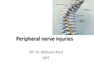 Peripheral nerve injuries
BY: Dr. Mahum Rauf
DPT
 