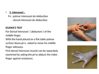 Testing Interossei Strength Peripheral nerve injuries lecture for MBS | PPTX
