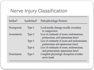 Comprehensive Overview of Peripheral Nerve Injuries: Anatomy ...