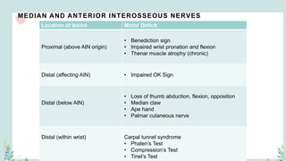 MEDIAN AND ANTERIOR INTEROSSEOUS NERVES
Location of lesion Motor Deficit
Proximal (above AIN origin)
• Benediction sign
• Impaired wrist pronation and flexion
• Thenar muscle atrophy (chronic)
Distal (affecting AIN) • Impaired OK Sign
Distal (below AIN)
• Loss of thumb abduction, flexion, opposition
• Median claw
• Ape hand
• Palmar cutaneous nerve
Distal (within wrist) Carpal tunnel syndrome
• Phalen’s Test
• Compression’s Test
• Tinel’s Test
 