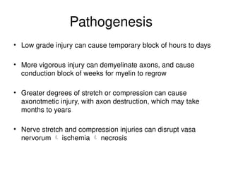 Pathogenesis
• Low grade injury can cause temporary block of hours to days
• More vigorous injury can demyelinate axons, and cause
conduction block of weeks for myelin to regrow
• Greater degrees of stretch or compression can cause
axonotmetic injury, with axon destruction, which may take
months to years
• Nerve stretch and compression injuries can disrupt vasa
nervorum  ischemia  necrosis
 