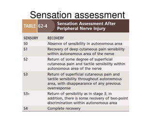 Sensation assessment
 