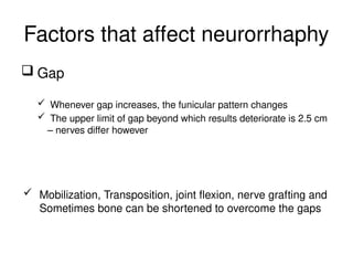 Factors that affect neurorrhaphy
 Gap
 Whenever gap increases, the funicular pattern changes
 The upper limit of gap beyond which results deteriorate is 2.5 cm
– nerves differ however
 Mobilization, Transposition, joint flexion, nerve grafting and
Sometimes bone can be shortened to overcome the gaps
 