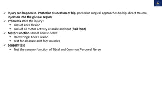  Injury can happen in- Posterior dislocation of hip, posterior surgical approaches to hip, direct trauma,
injection into the gluteal region
 Problems after the injury :
 Loss of knee flexion
 Loss of all motor activity at ankle and foot (flail foot)
 Motor Function Test of sciatic nerve:
 Hamstrings: Knee Flexion
 Test for all ankle and foot muscles
 Sensory test
 Test the sensory function of Tibial and Common Peroneal Nerve
 
